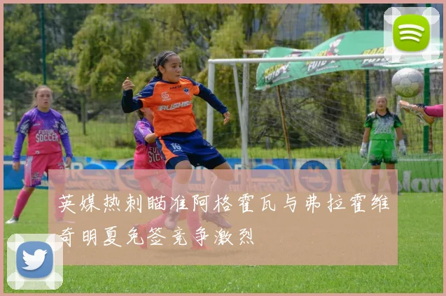 英媒热刺瞄准阿格霍瓦与弗拉霍维奇明夏免签竞争激烈