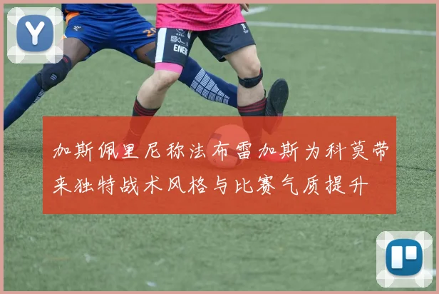 加斯佩里尼称法布雷加斯为科莫带来独特战术风格与比赛气质提升