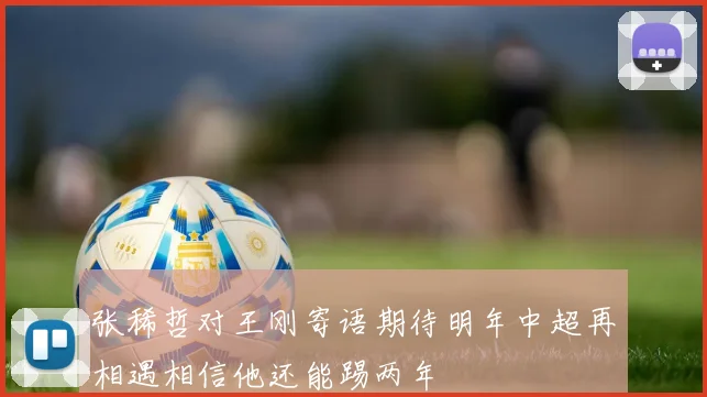 张稀哲对王刚寄语期待明年中超再相遇相信他还能踢两年
