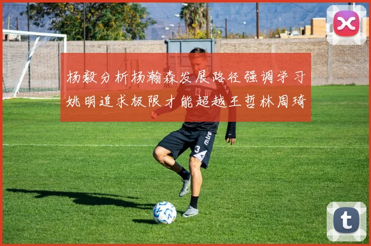 杨毅分析杨瀚森发展路径强调学习姚明追求极限才能超越王哲林周琦状态