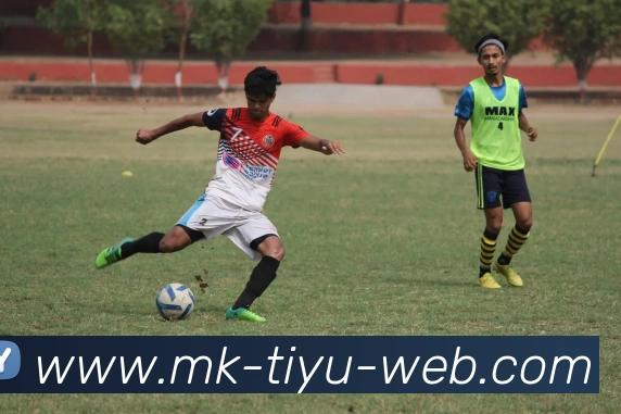 MK体育平台生态图