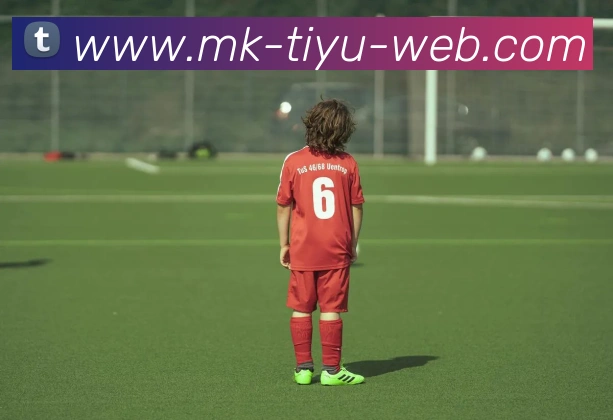 MK体育APP 封面图